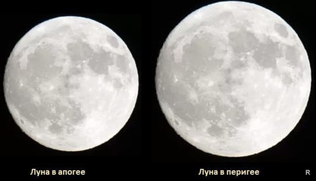რა გავლენას ახდენს ადამიანის ორგანიზმზე სუპერმთვარეობა - რას ფიქრობენ მედიკოსები Rating