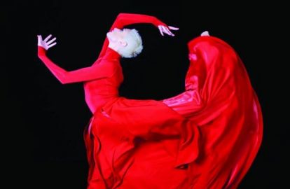 სკანდალი - სუხიშვილების „რამიშვილებს“ პლაგიატში ადანაშაულებენ!.. 