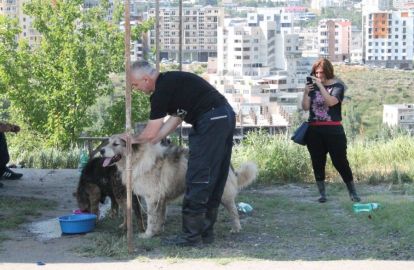 თამაზ ელიზბარაშვილი ძაღლების თავშესაფარის განადგურების შემდეგ სპეციალურ განცხადებას ავრცელებს