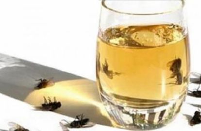 შეგაწუხათ ბუზებმა და კოღოებმა? გაჟღინთეთ ჰაერი ამ არომატით