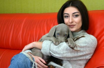 ვისი თუთიყუში გარყვნა ნინო შავგულიძემ