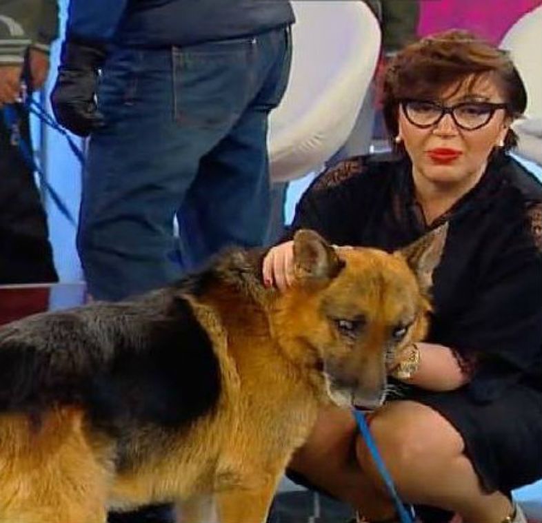 ინგა გრიგოლია მიხეილ სააკაშვილს პასუხობს: „ვახ,მოვყვე მე მუმიამ ყველაფერი...“