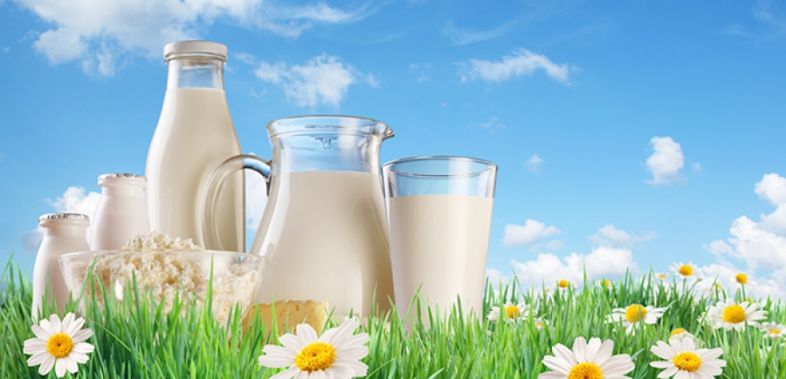 რძის 5 უნიკალური საიდუმლო ჯანმრთელობისთვის – რომელი რძე უნდა დავლიოთ