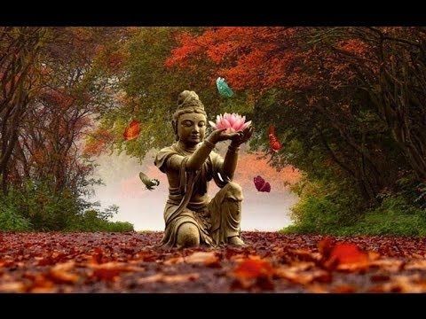 ბუდას 25 გაკვეთილი, რომლებიც მღელვარებისგან გაგანთავისუფლებთ - „გესმოდეს ყველაფერი - ნიშნავს, ყველაფერი აპატიო“