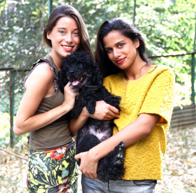 მაკო კვიტაიშვილის ძაღლს საკურორტო რომანები აქვს 