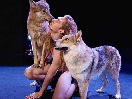 ''ევროვიზია'' მორიგი სკანდალის მოლოდინში - ვინ იმღერებს შიშველი მგლებთან ერთად (+ფოტოები)
