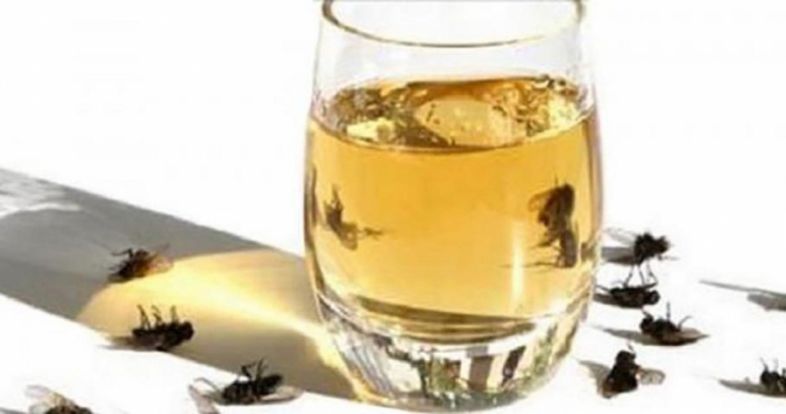 შეგაწუხათ ბუზებმა და კოღოებმა? გაჟღინთეთ ჰაერი ამ არომატით