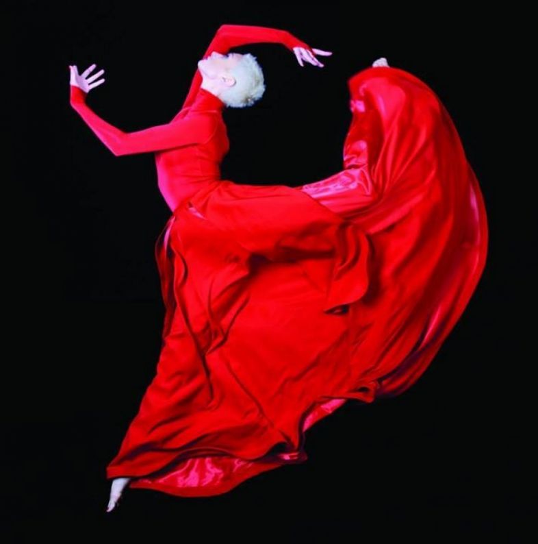 სკანდალი - სუხიშვილების „რამიშვილებს“ პლაგიატში ადანაშაულებენ!.. 